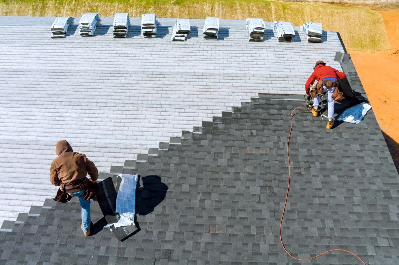Roof Repair Example